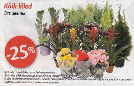 Kõik Lilled -25%