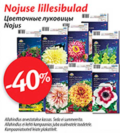 Nojuse lillesibulad -40%