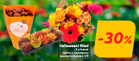 Halloweeni lilled  -30%

