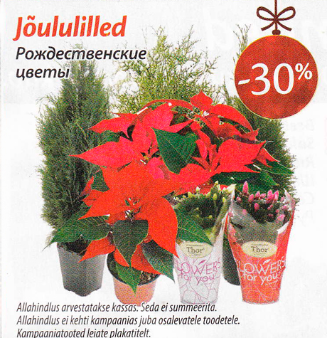 Jõululilled -30%