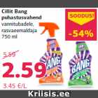 Cillit Bang
puhastusvahend
vannitubadele,
rasvaeemaldaja
750 ml