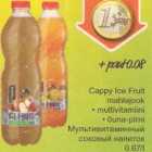 Allahindlus - Cappy Ice Fruit mahlajook multivitamiini
õuna-pirni