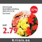 ÕUETAIM
ROOSBEGOONIA
MIX  Ø12 CM