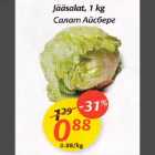 Allahindlus - Jääsalat,1 kg