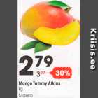 Mango Tommy Atkins, kg