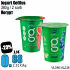 Jogurt Gefilus

