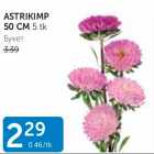 ASTRIKIMP 50 CM 5 TK