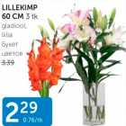 LILLEKIMP 60 CM 3 TK