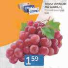 ROOSA VIINAMARI RED GLOBE, KG