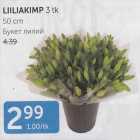 LIILIKIMP