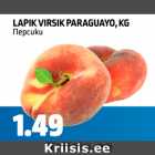 LAPIK VIRSIK PARAGUAYO, KG