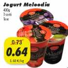 Allahindlus - Jogurt Meloodia 400g 3 sorti