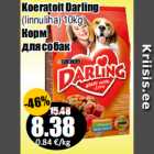 Koeratoit Darling

