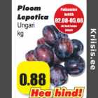 Ploom
Lepotica
