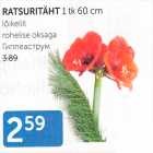 RATSURITÄHT 