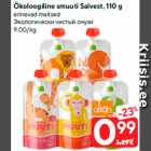 Ökoloogiline smuuti Salvest, 110 g

