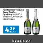 Allahindlus - Prantsusmaa vahuvein 
Grand Cavalier 
Sparkling 11% 
0,75 l