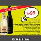 Allahindlus - Hispaania kaitstud päritolunimetusega
kvaliteetvahuvein Freixenet, 75 cl