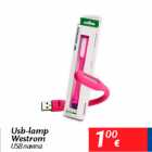 Allahindlus - Usb-lamp Westrom