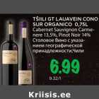 Allahindlus - TŠIILI GT LAUAVEIN CONO
SUR ORGANICO 0,75L