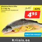 Allahindlus - Jahutatud Norra lõhe
(2-3 kg), kg