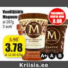 Allahindlus - Vanillijäätis
Magnum