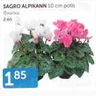 SAGRO ALPIKANN 10 cm potis