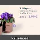 3. Lillepott

