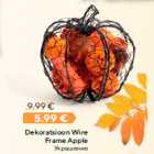 Allahindlus - Dekoratsioon Wire
Frame Apple
