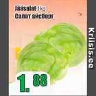 Allahindlus - Jääsalat 1 kg