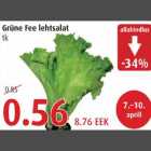 Allahindlus - Grüne Fee lehtsalat