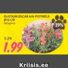 ÕUETAIM OSCAR AIA-POTINELK
Ø10 CM
