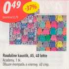 Ruuduline kaustik, A5, 40 lehte Academy, 1 tk