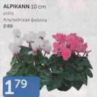 ALPIKANN 10 CM