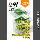 Salat, 100 g