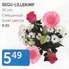 SEGU-LILLEKIMP 50 cm