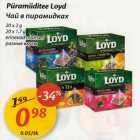 Püramiiditee Loyd