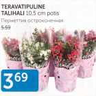 TERAVATIPULINE TALIHALI 