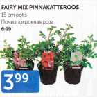 FAIRY MIX PINNAKATTEROOS