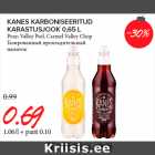 Allahindlus - KANES KARBONISEERITUD
KARASTUSJOOK 0,65 L