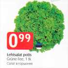 Lehtsalat potis