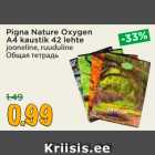 Allahindlus - Pigna Nature Oxygen
A4 kaustik 42 lehte