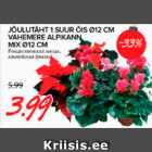 Allahindlus - JÕULUTÄHT 1 SUUR ÕIS d12 CM VAHEMERE ALPIKANN MIX d12 CM