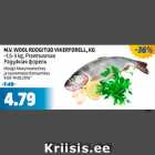 M.V. WOOL ROOGITUD VIKERFORELL, KG