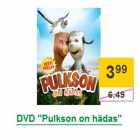 Allahindlus - DVD "Pulkson on hädas"