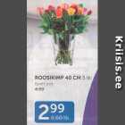 ROOSIKIMP 40 CM 5 TK