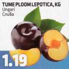 TUME PLOOM LEPOTICA, KG