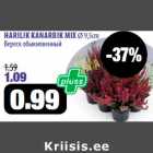 Allahindlus - HARILIK KANARBIK MIX Ø 9,5cm