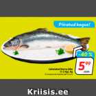 Allahindlus - Jahutatud Norra lõhe
(1-2 kg), kg