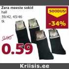 Allahindlus - Zera meeste sokid
hall
39/42, 43/46
tk